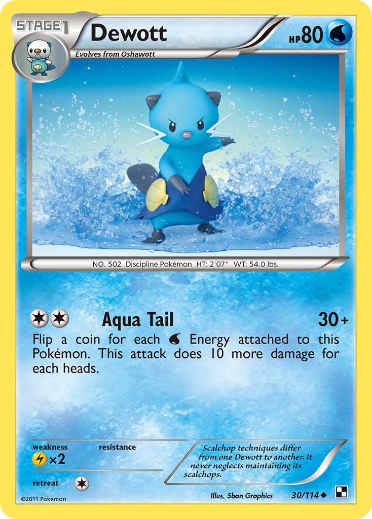 Black & White Dewott Pokémon card