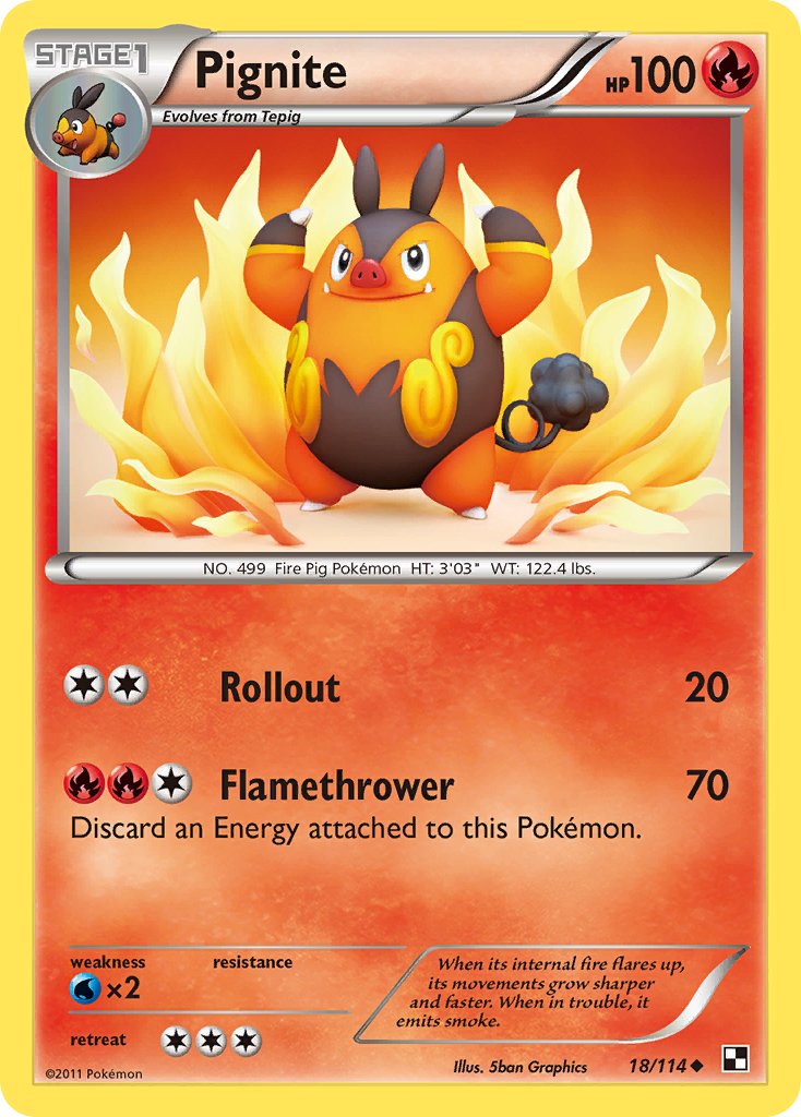 Black & White Pignite Pokémon card
