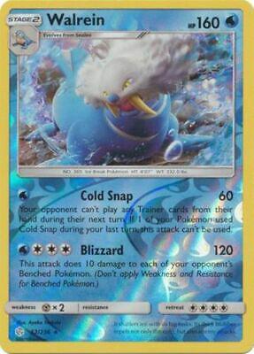 Walrein [Reverse Holo]