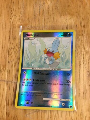 Mudkip [Reverse Holo]