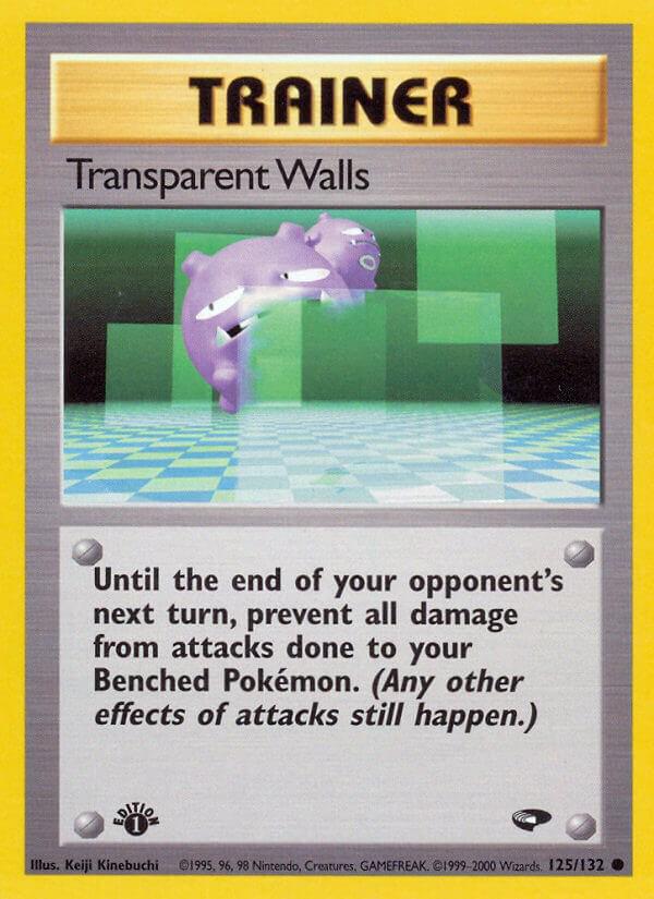 Transparent Walls [1st-Edition]