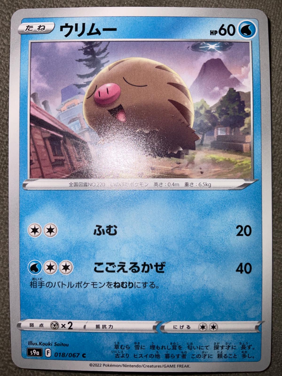 Swinub