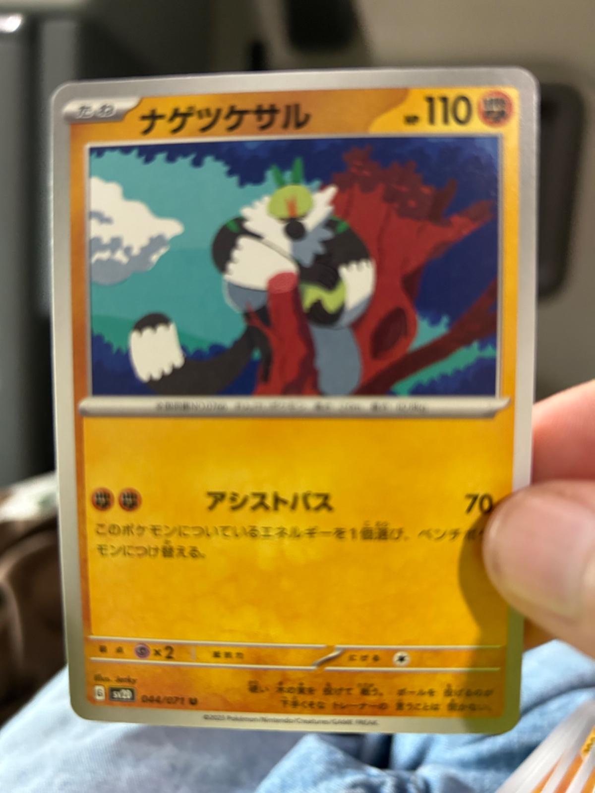 Passimian