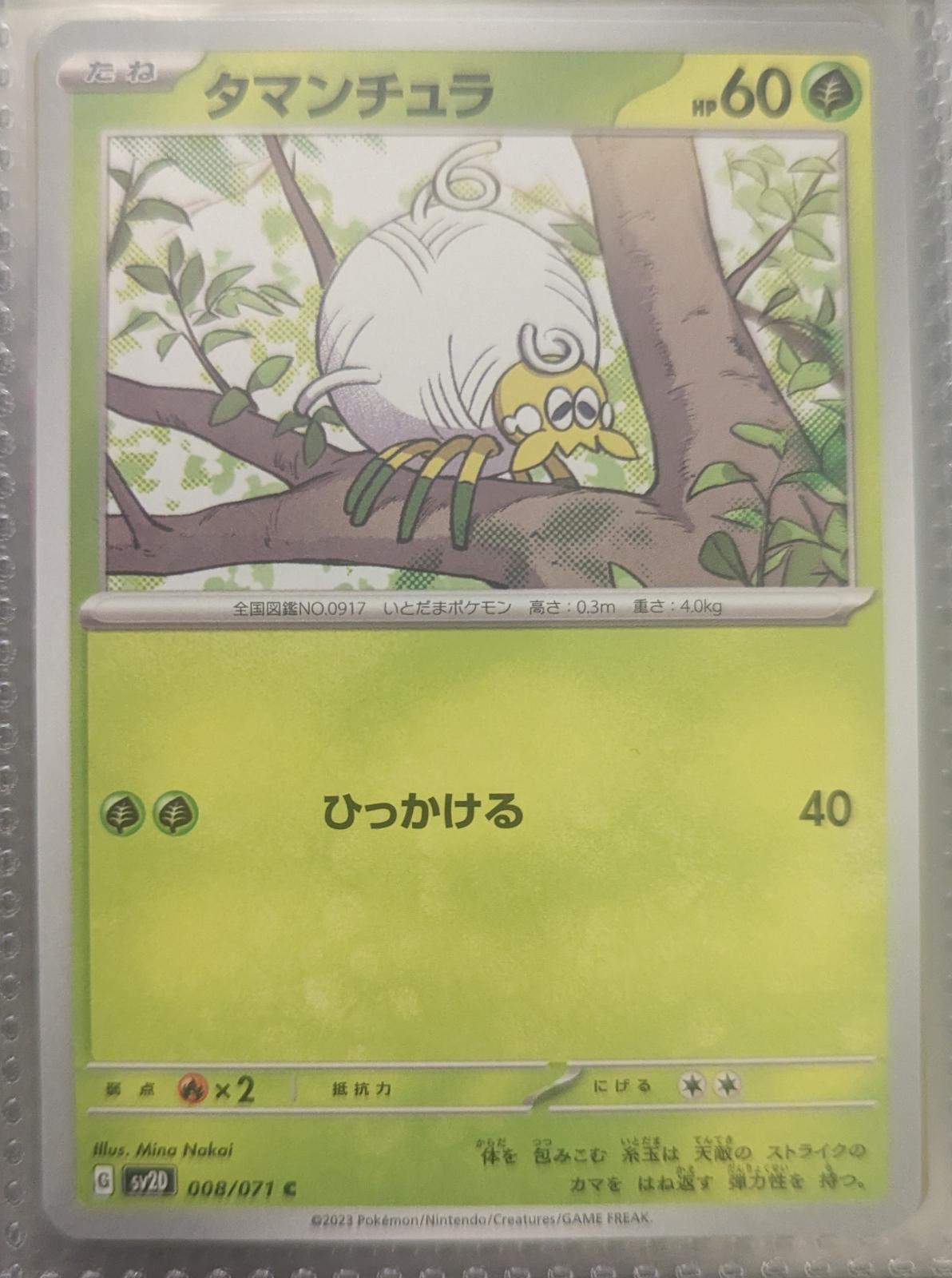 Tarountula