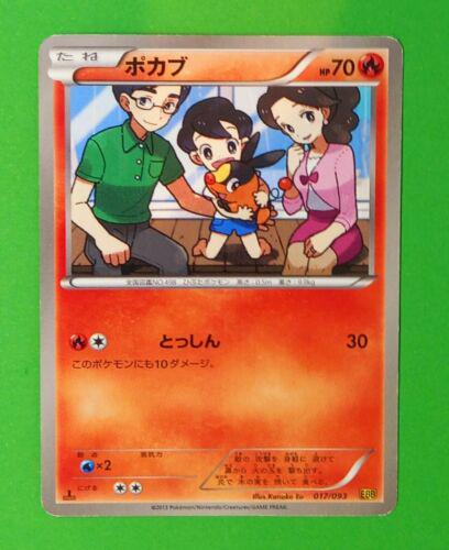 Tepig