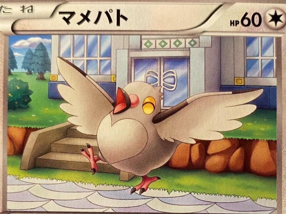 Pidove