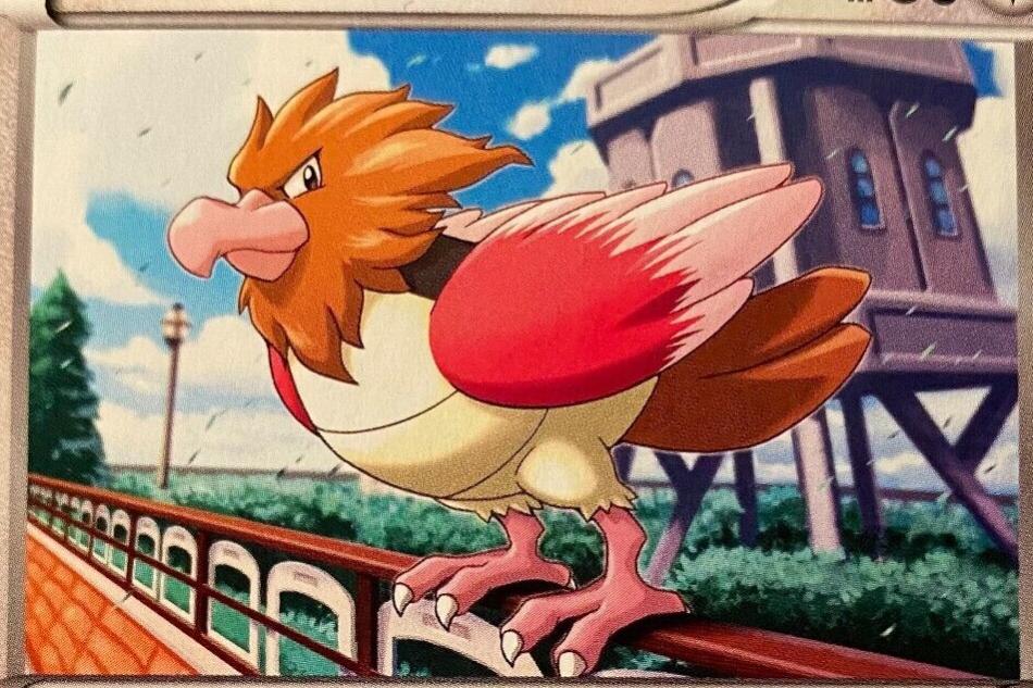 Spearow