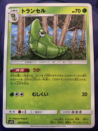 Metapod