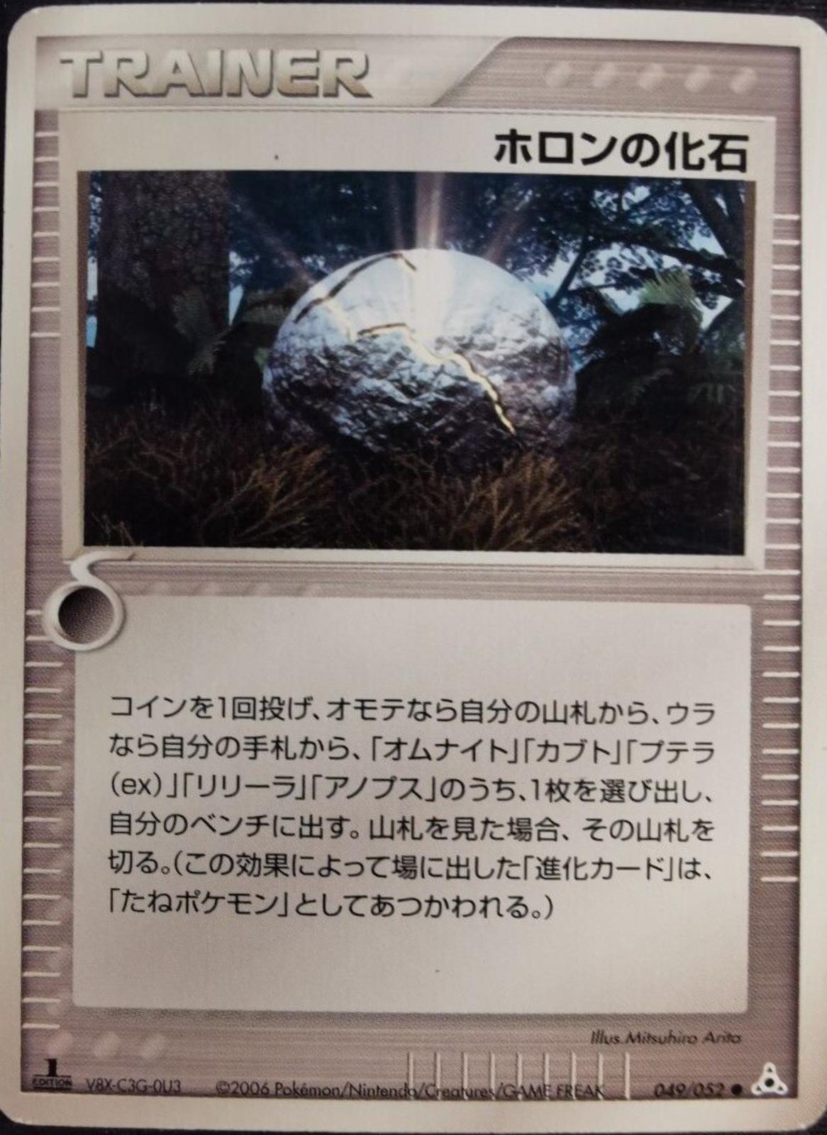 Holon Fossil