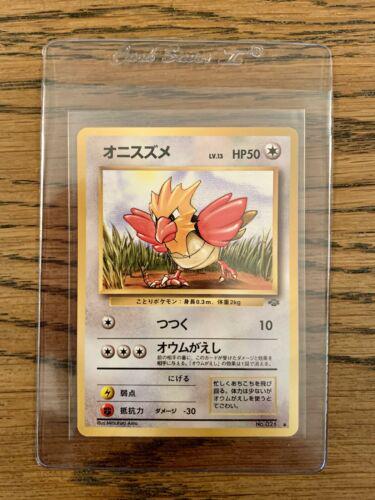 Spearow