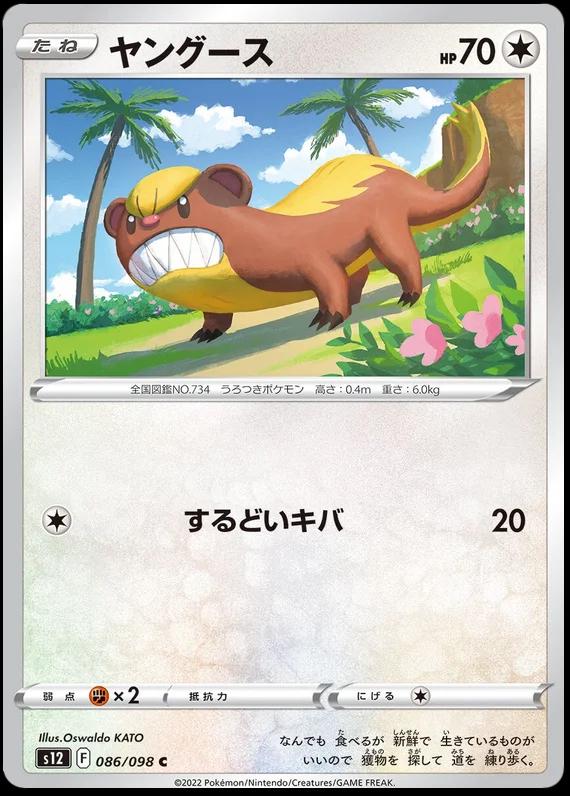 Yungoos