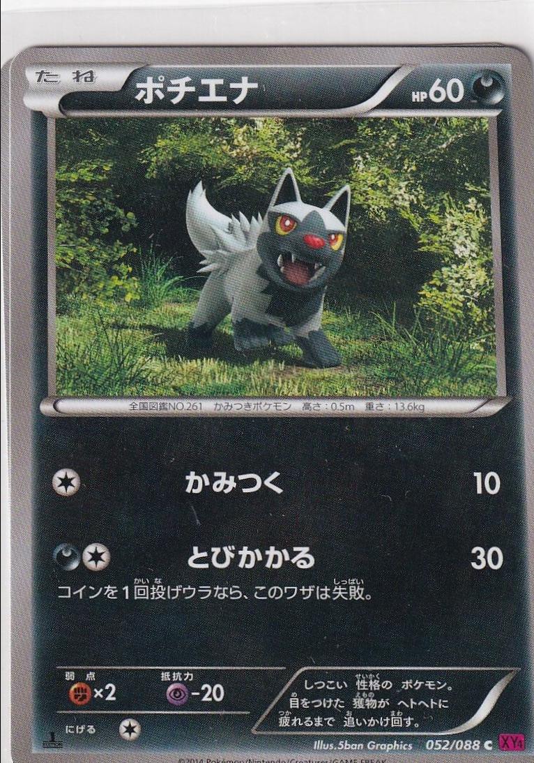 Poochyena [1st-Edition]