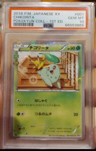 Chikorita