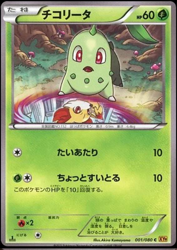 Chikorita