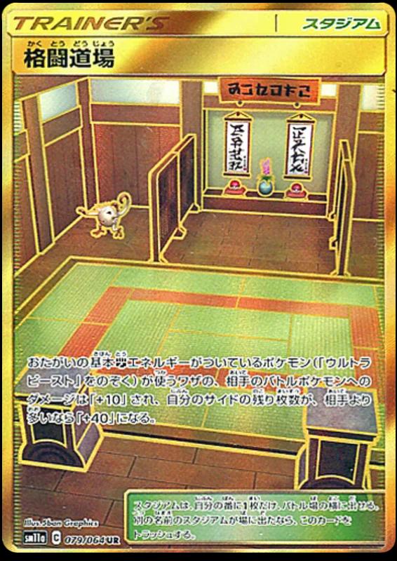 Martial Arts Dojo