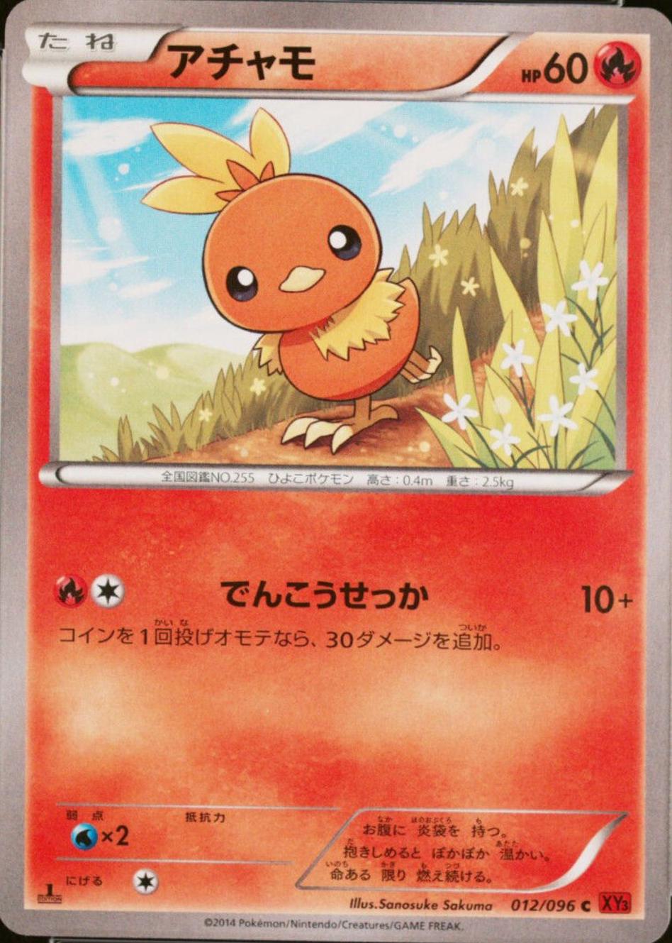 Torchic