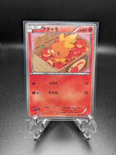 Japanese Shiny Collection Torchic [Holo-1st-Edition] Pokémon card