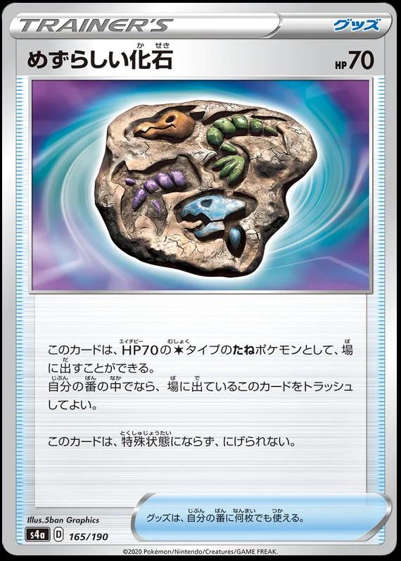 Rare Fossil