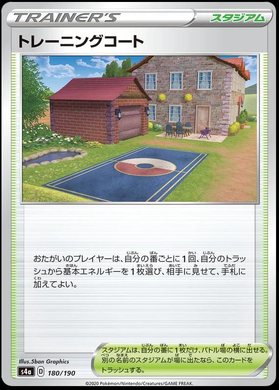 Training Court