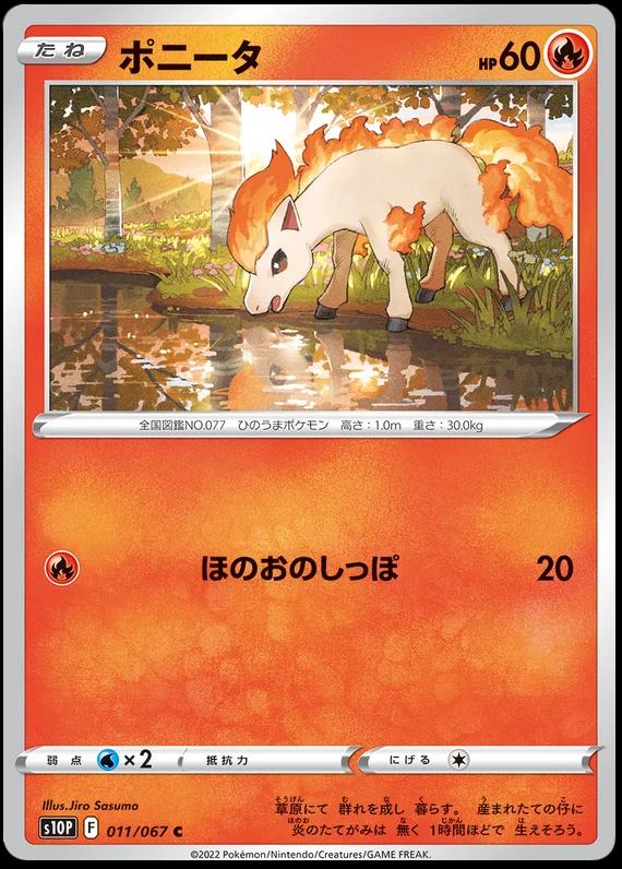 Ponyta
