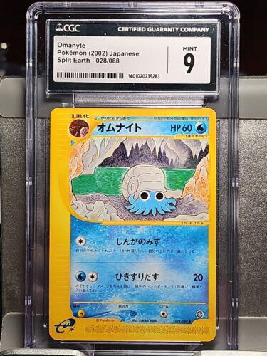 Omanyte