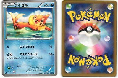 Buizel