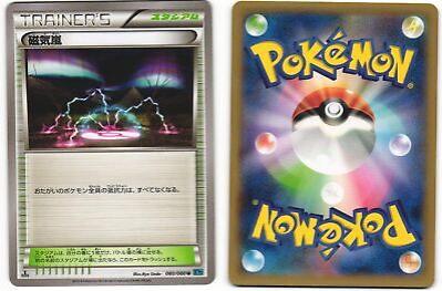 Magnetic Storm