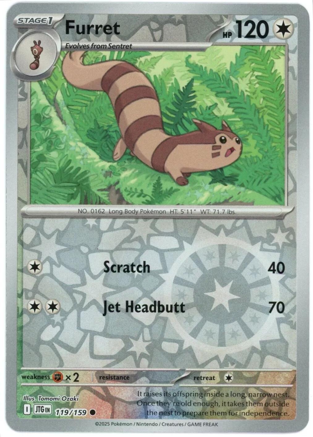 Furret [Reverse Holo]