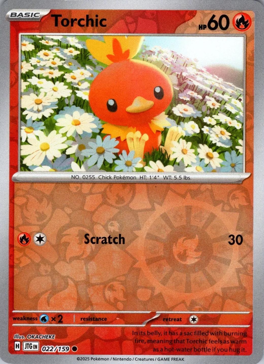 Torchic [Reverse Holo]