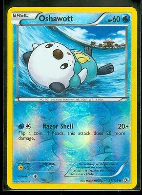 Oshawott [Reverse Holo]