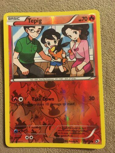Tepig [Reverse Holo]