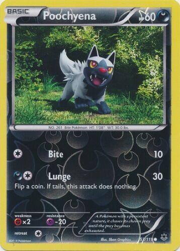 Poochyena [Reverse Holo]