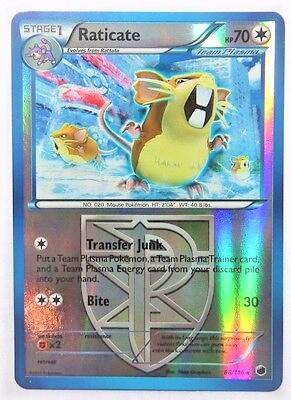 Raticate [Reverse Holo]