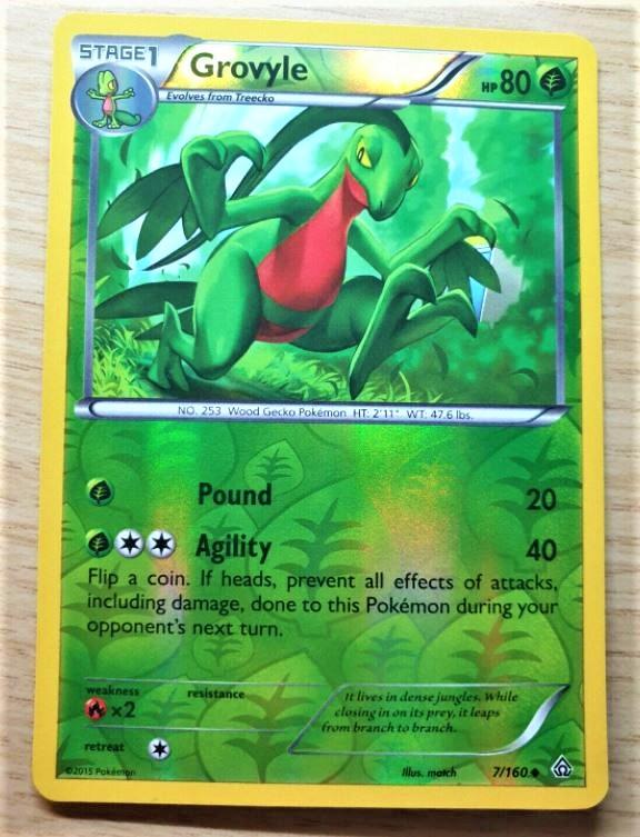 Grovyle [Reverse Holo]