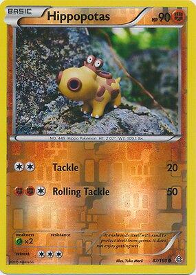 Hippopotas [Reverse Holo]