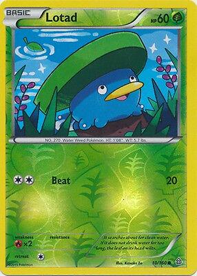 Lotad [Reverse Holo]
