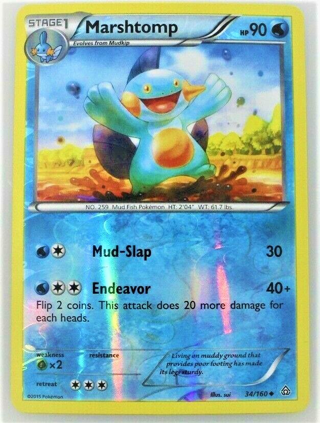 Marshtomp [Reverse Holo]