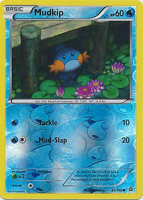 Mudkip [Reverse Holo]