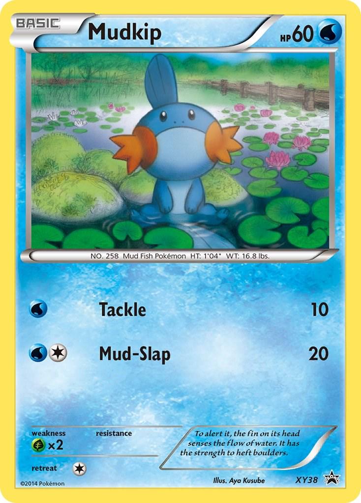 Promo Mudkip Pokémon card