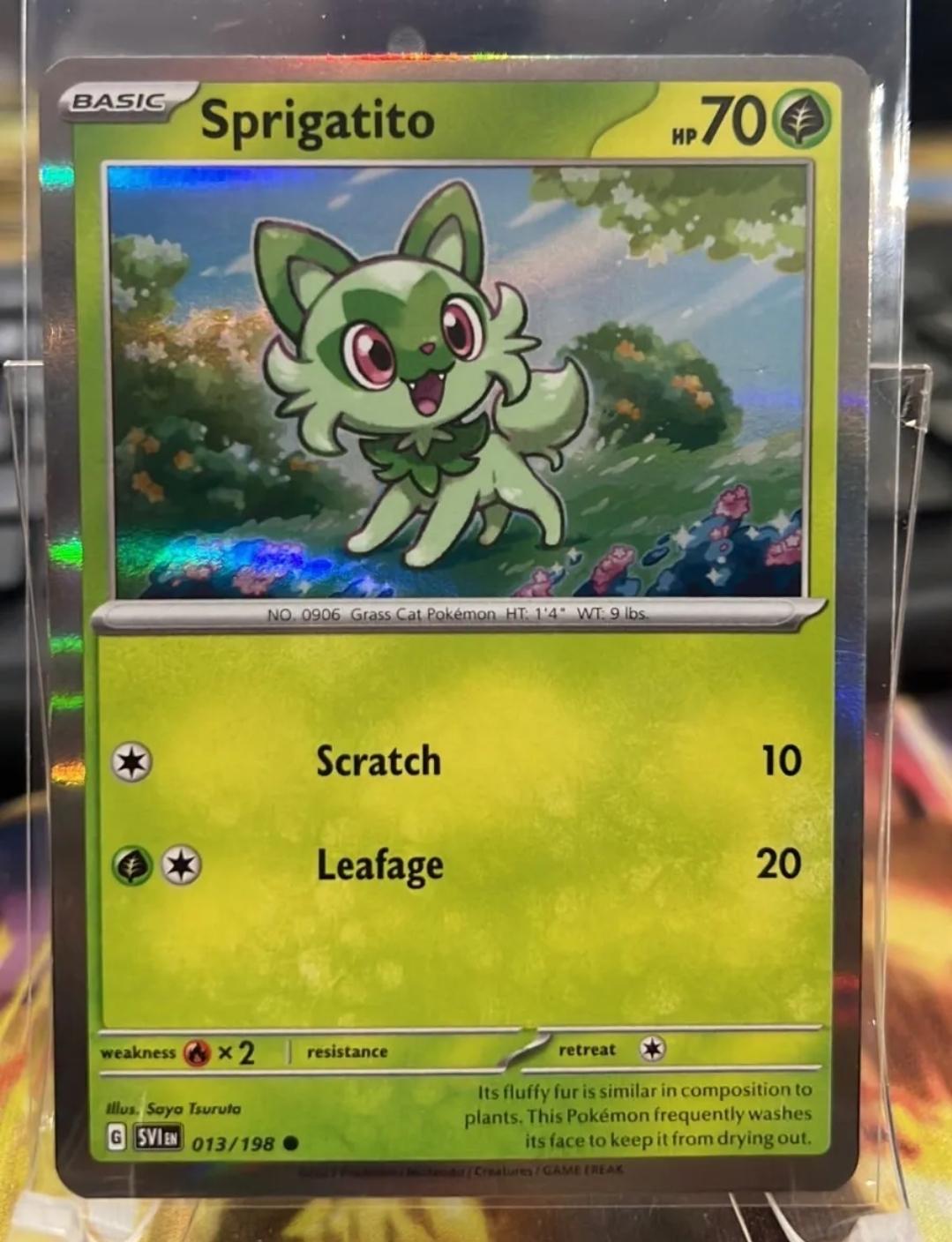 Scarlet & Violet Sprigatito [Holo] Pokémon card