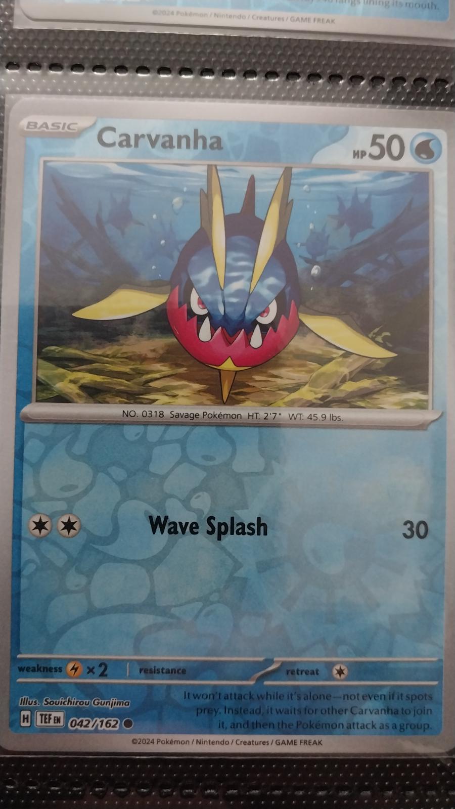 Carvanha [Reverse Holo]