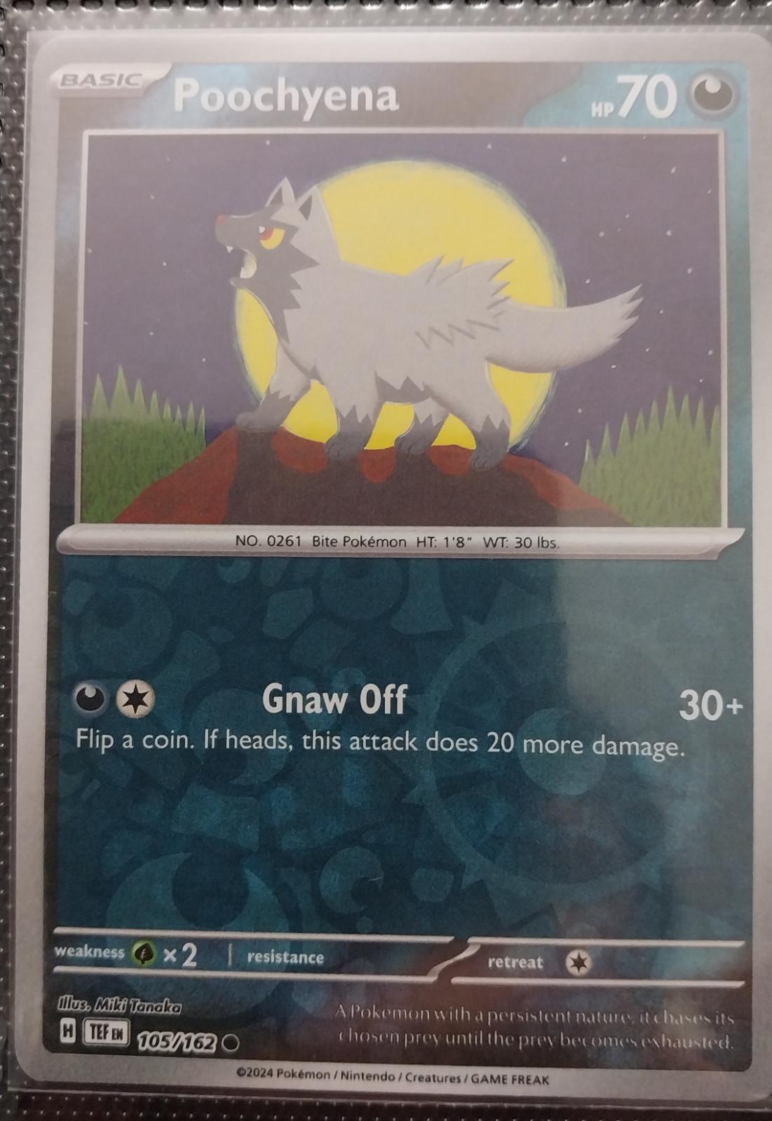 Poochyena [Reverse Holo]