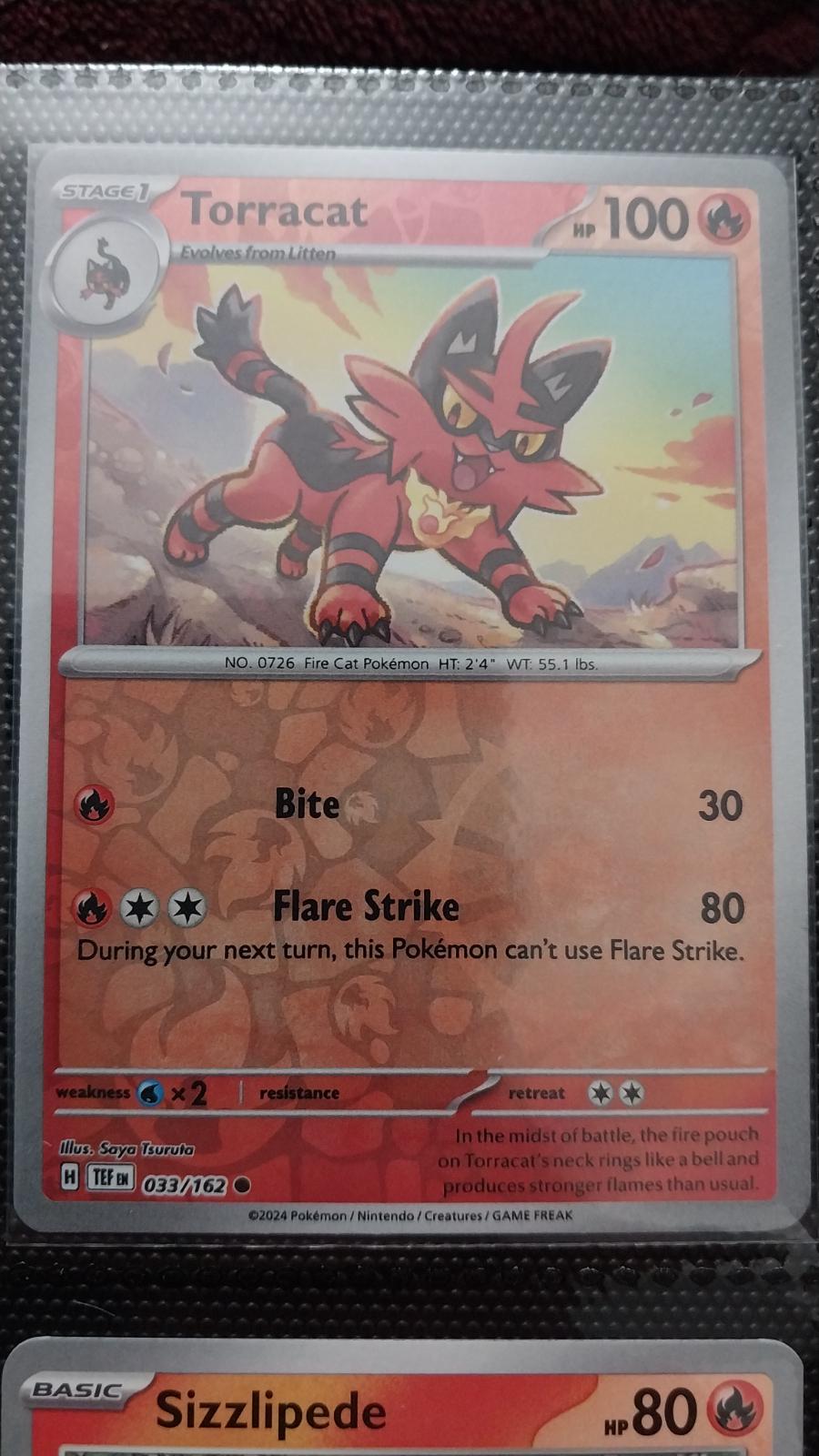 Torracat [Reverse Holo]