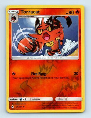 Torracat [Reverse Holo]