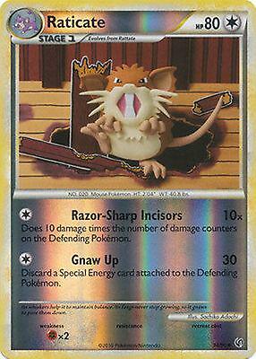 Raticate [Reverse Holo]