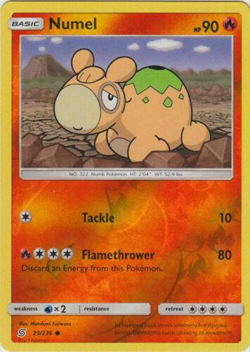 Numel [Reverse Holo]