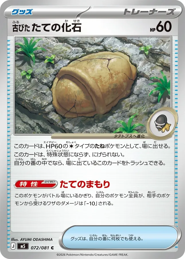 Antique Armor Fossil