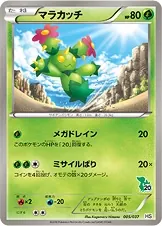 Maractus