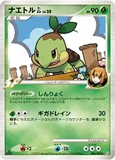 TurtwigGL