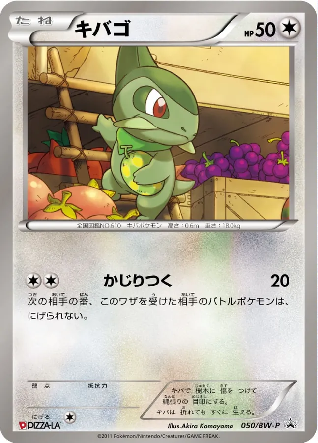Japanese BW Promos Axew Pokémon card